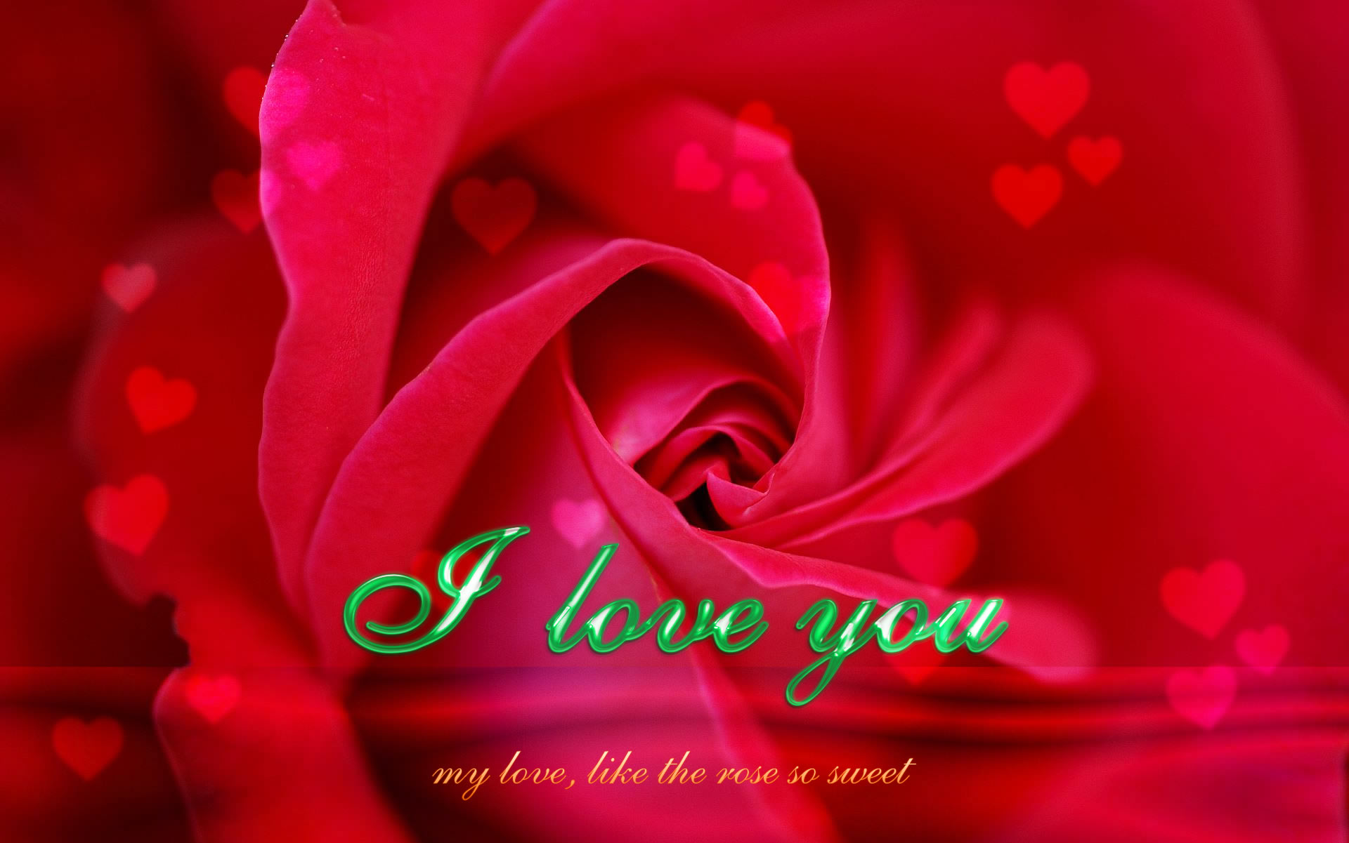 I Love You My Wallpaper Image Amp Pictures Becuo
