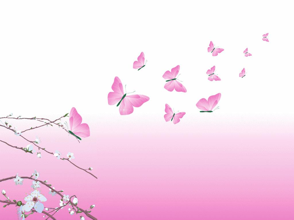 Pink Butterflies yorkshire rose Wallpaper