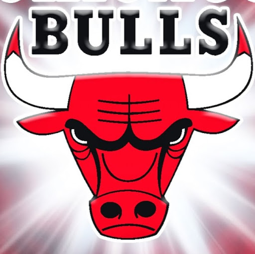 Chicago Bulls Logo Background HD Wallpaper We Provides