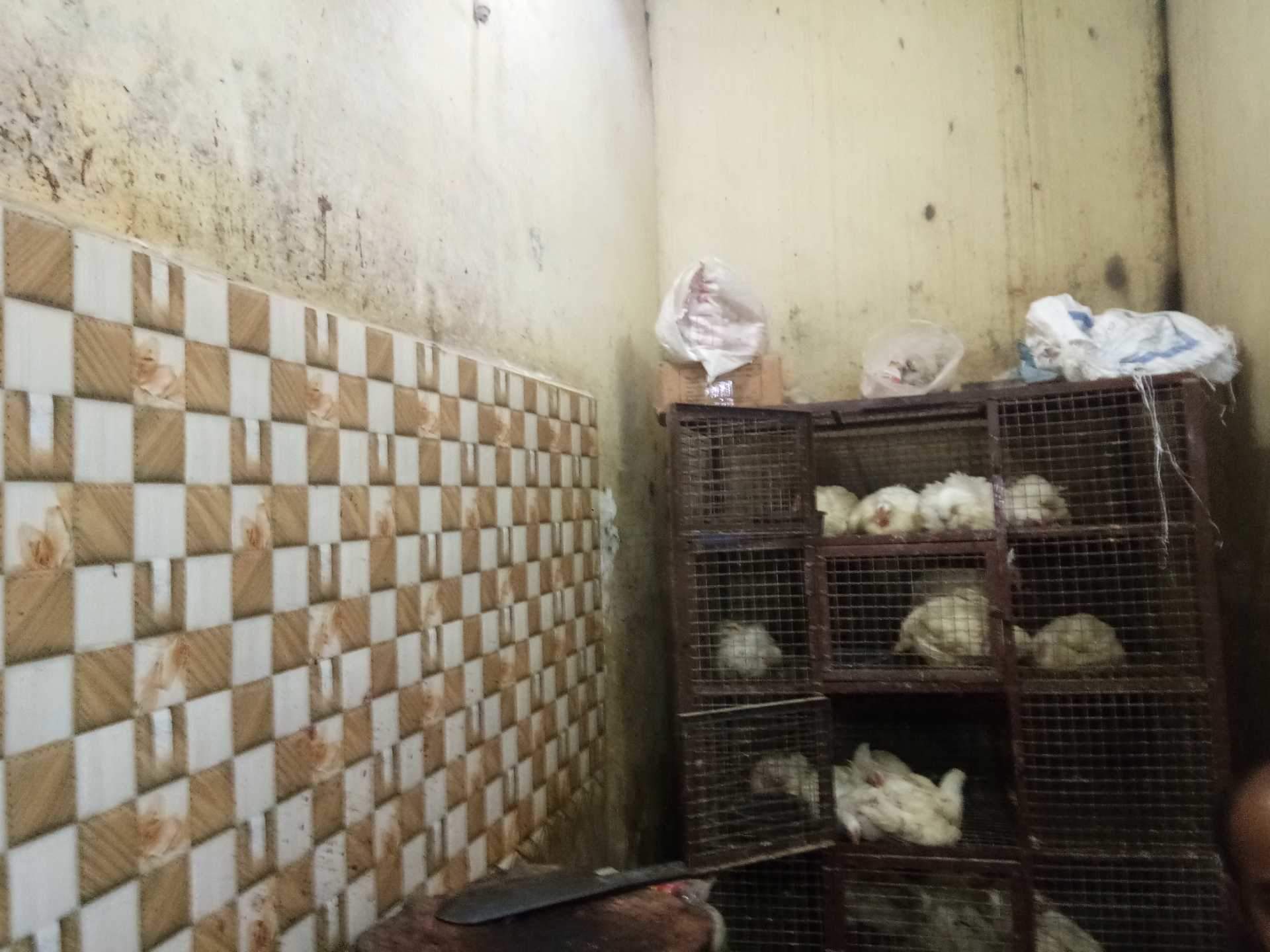 Mujahid Chicken Shop Photos Vile Parle West Mumbai Tile