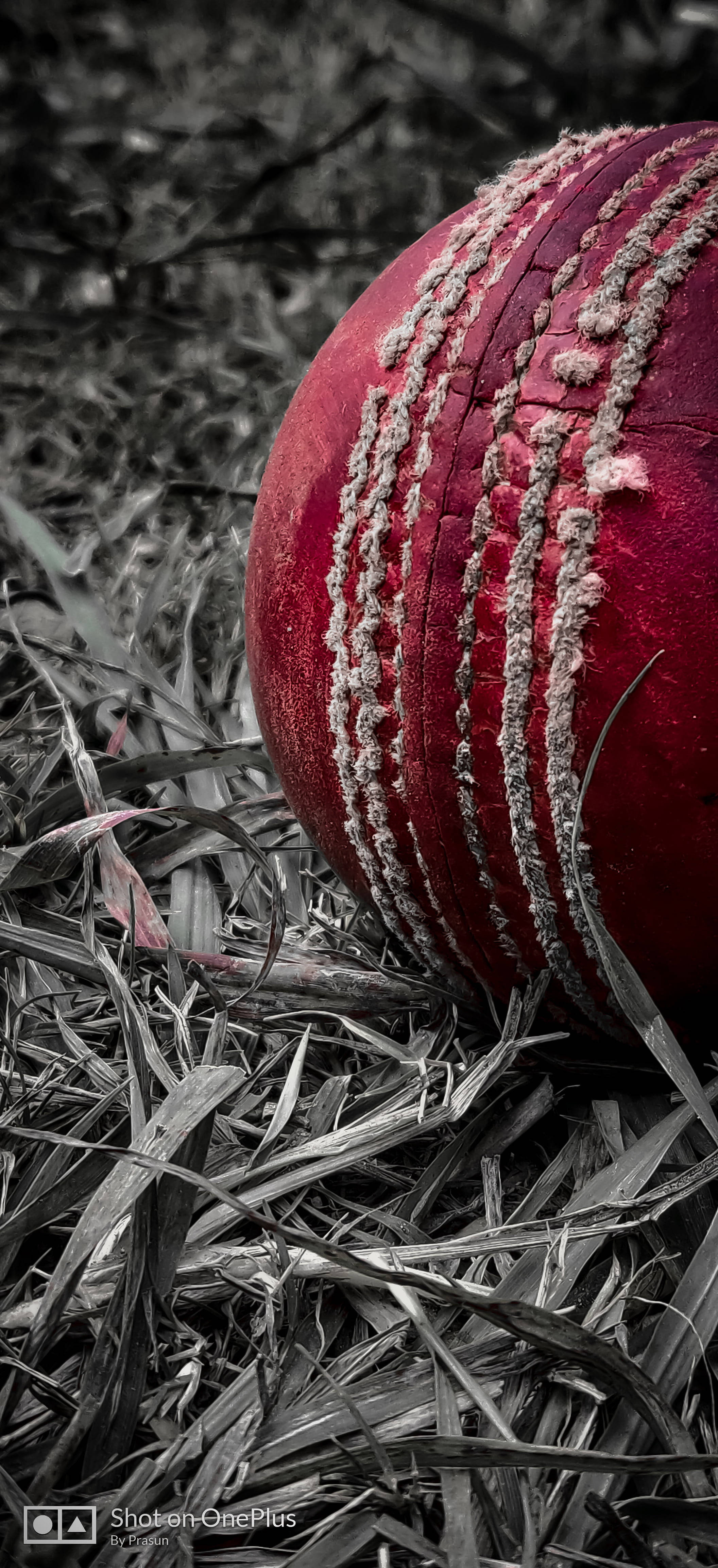 Cricket 4k Wallpaper