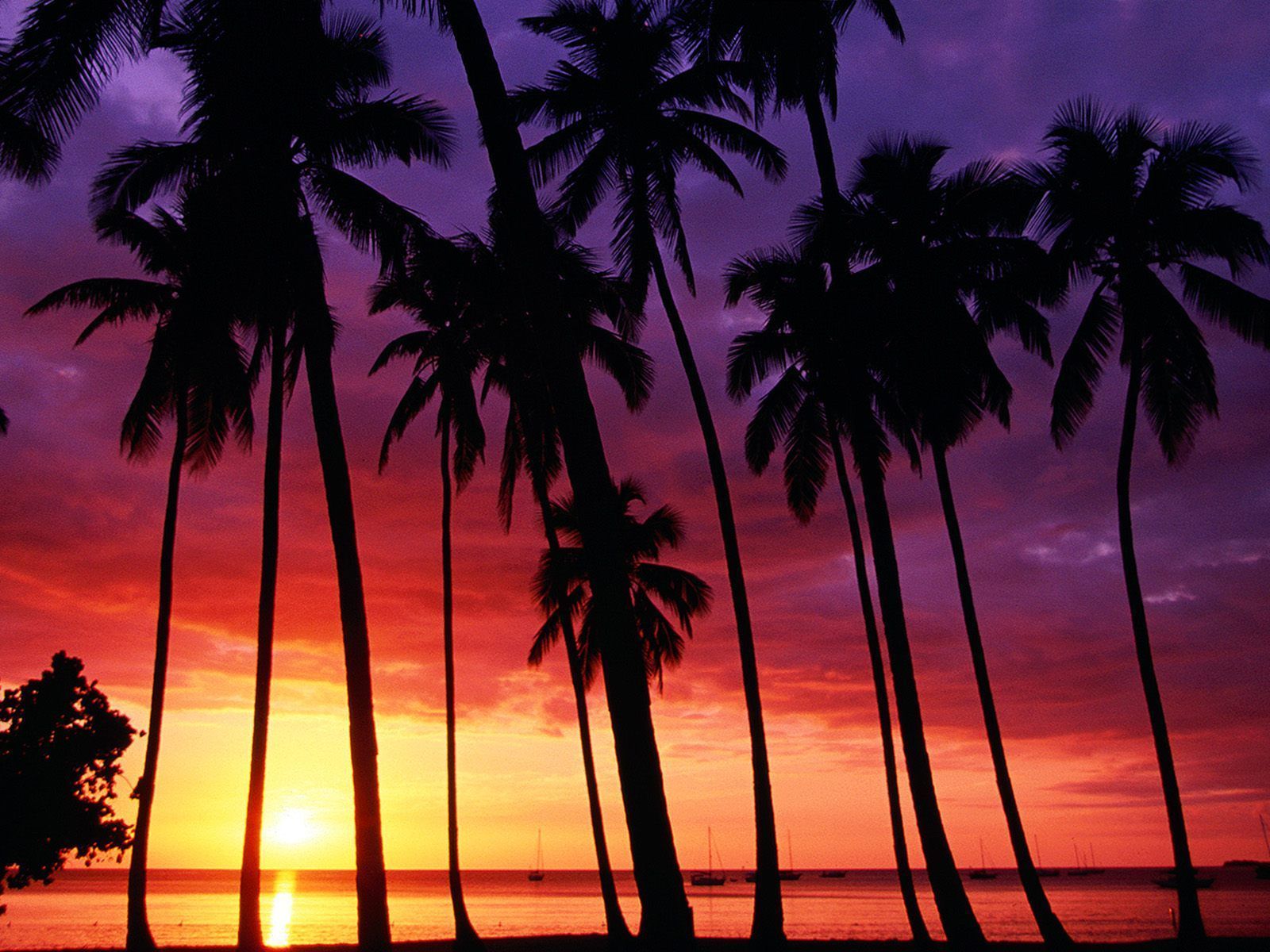Nature Sunset Spectacular Puerto Rico Desktop Wallpaper Nr