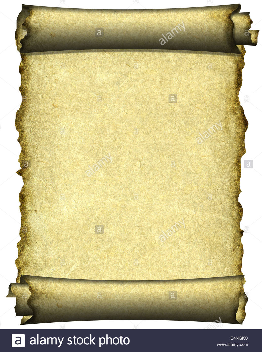 Manuscript Burnt Rough Roll Of Parchment Paper Texture Background