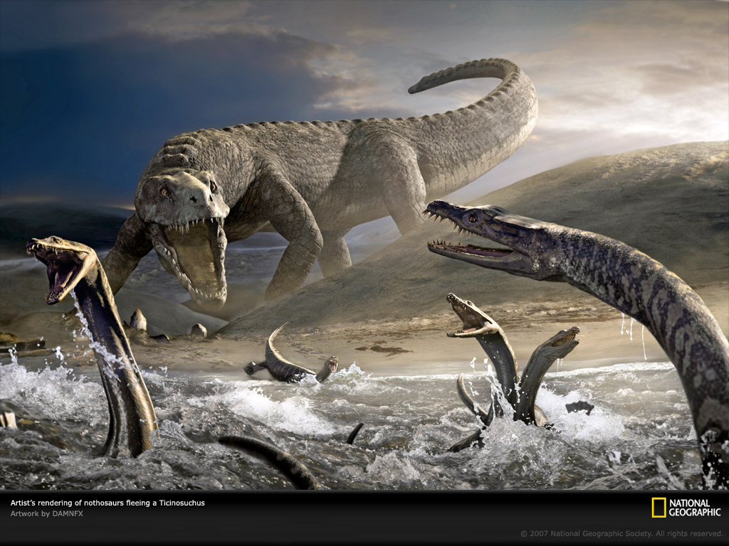 Dinosaur Wallpaper Photos National Geographic