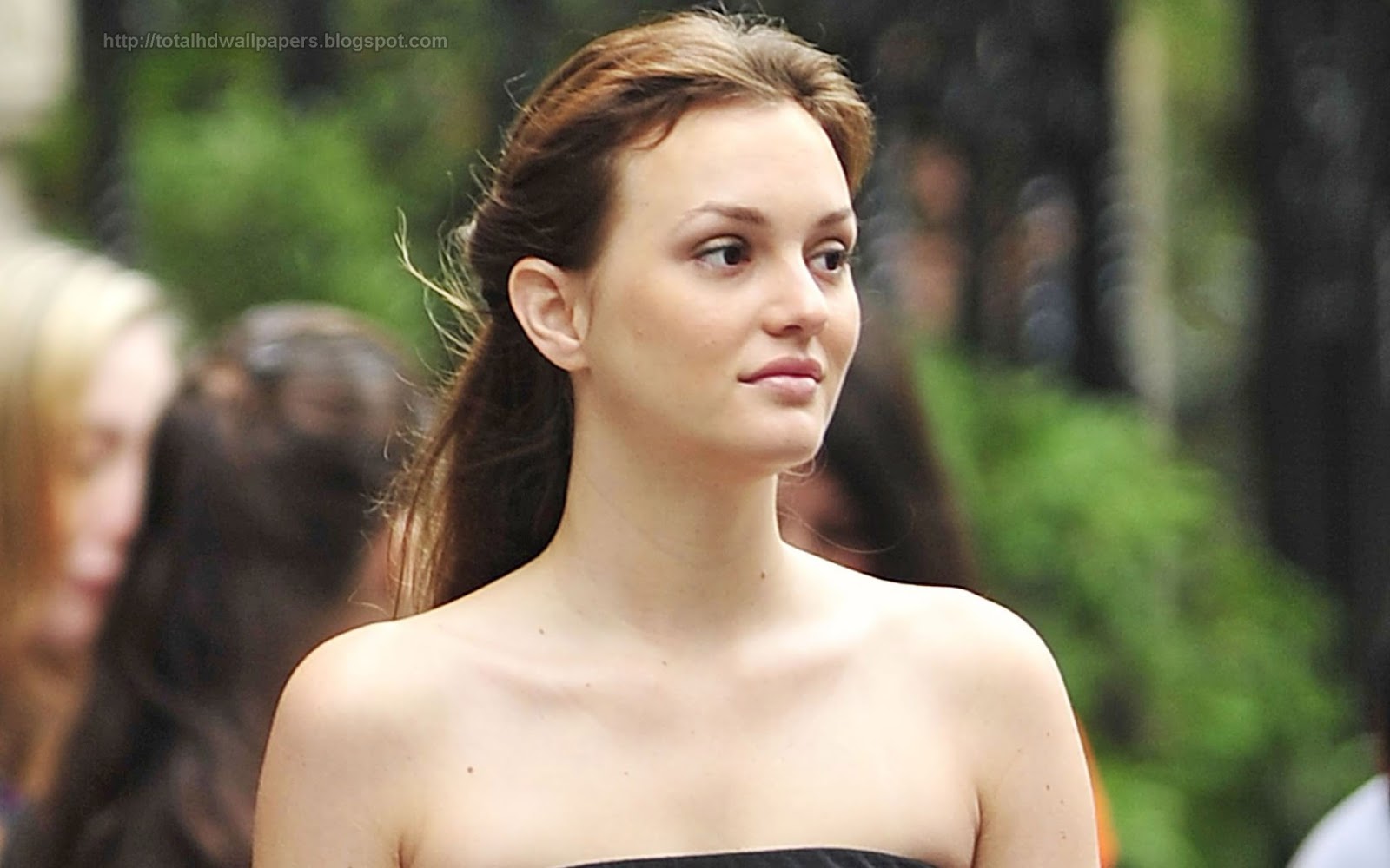 To Share Labels Leighton Meester Wallpaper HD
