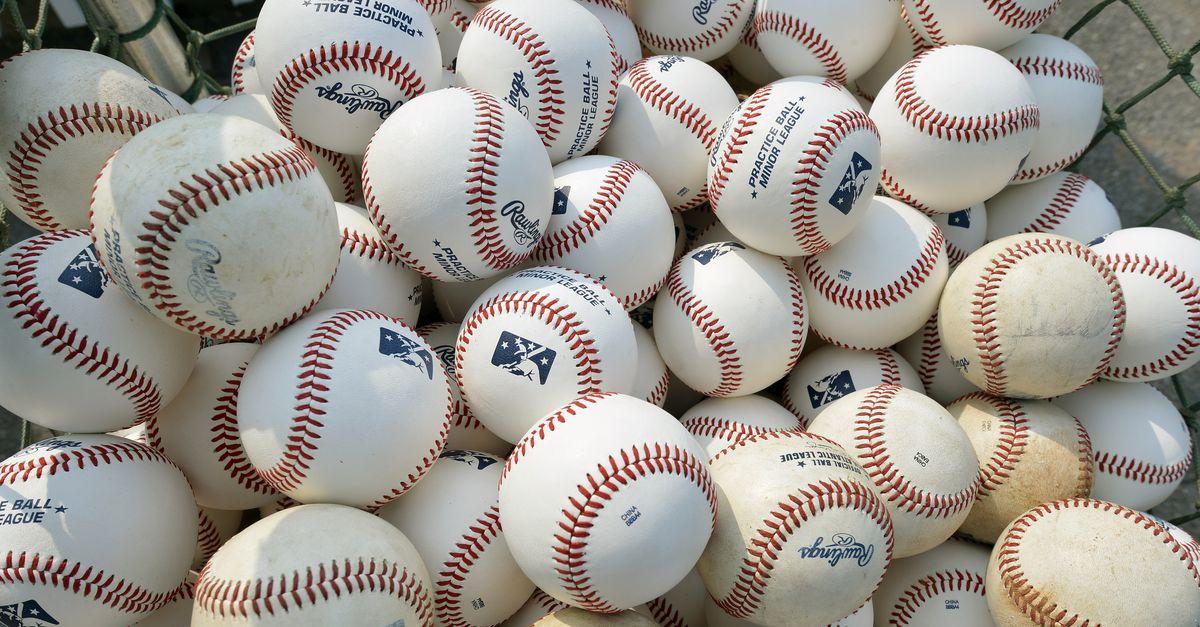 Panies Minor League Baseball Teams Lose 9th Circuit Covid