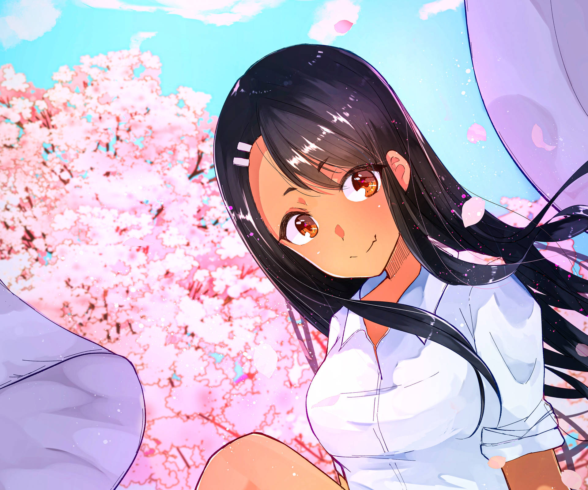 Nagatoro Beside Cherry Blossom Tree O81bv8u7aidsikcu Wallpaper