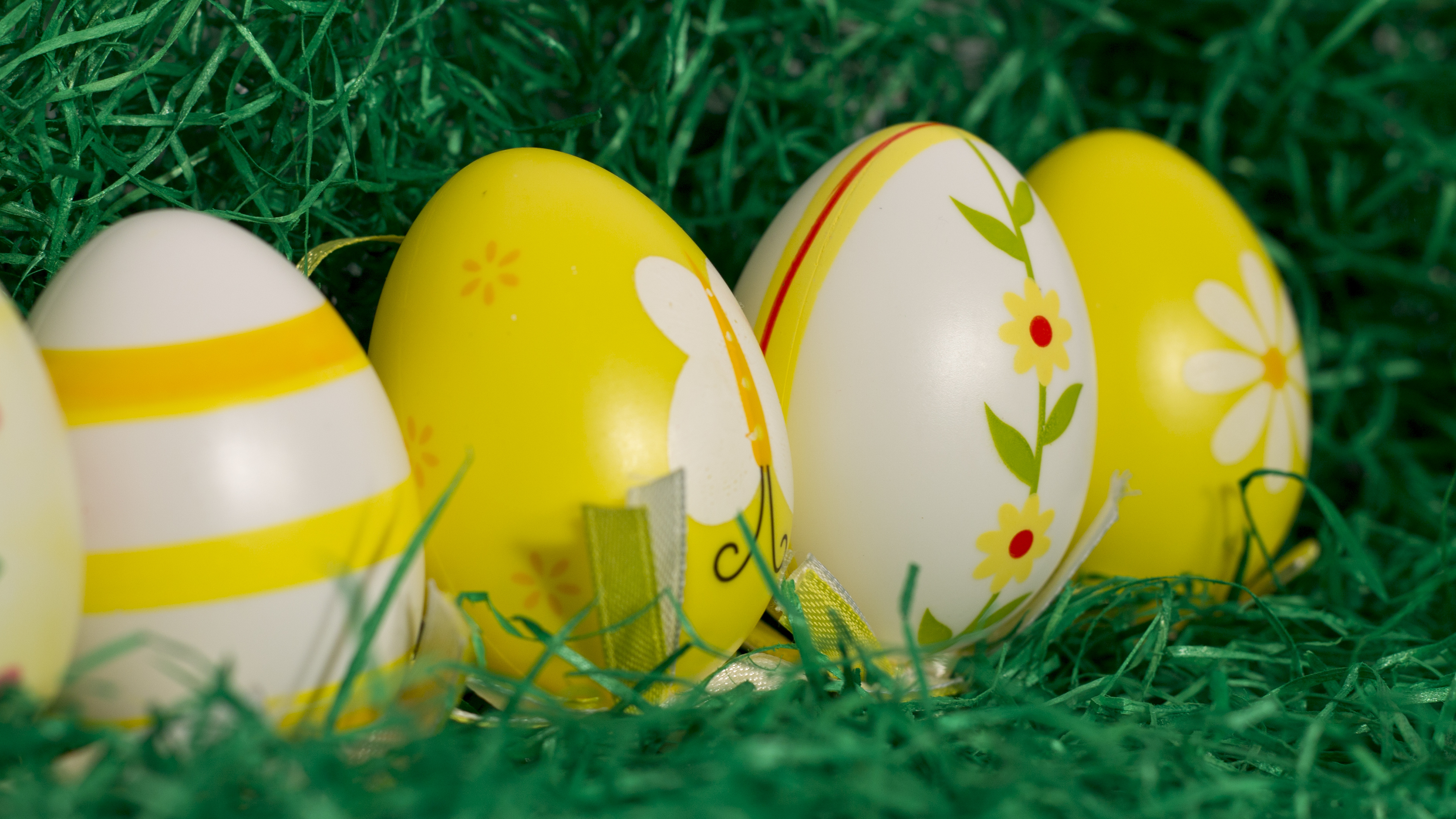 Easter Eggs Widescreen Wallpaper