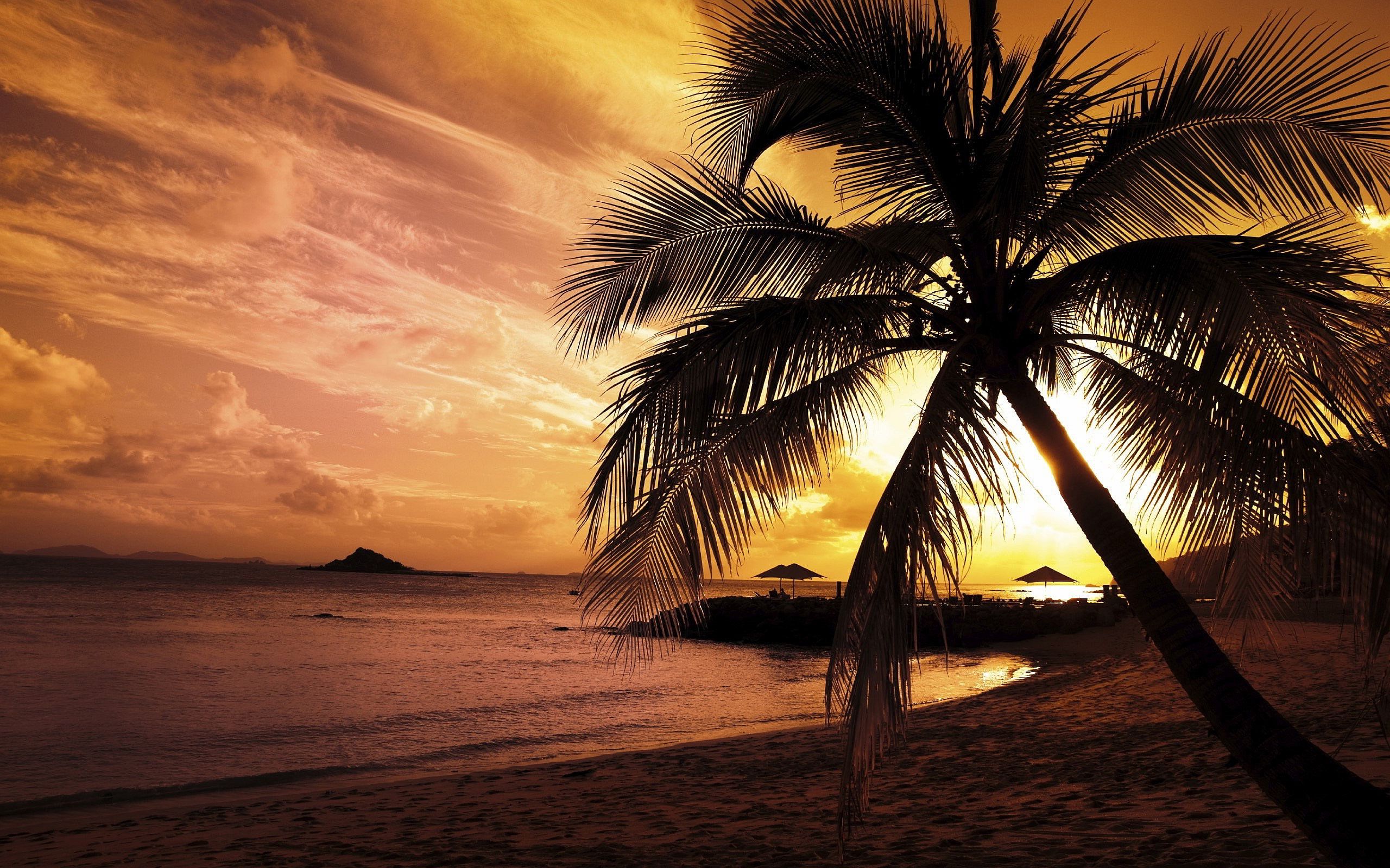 Sunset Palm Beach Beautiful Beaches Wallpaper