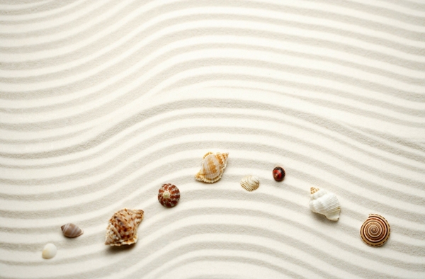 Sand Beach Lines Seashells Wallpaper Beaches