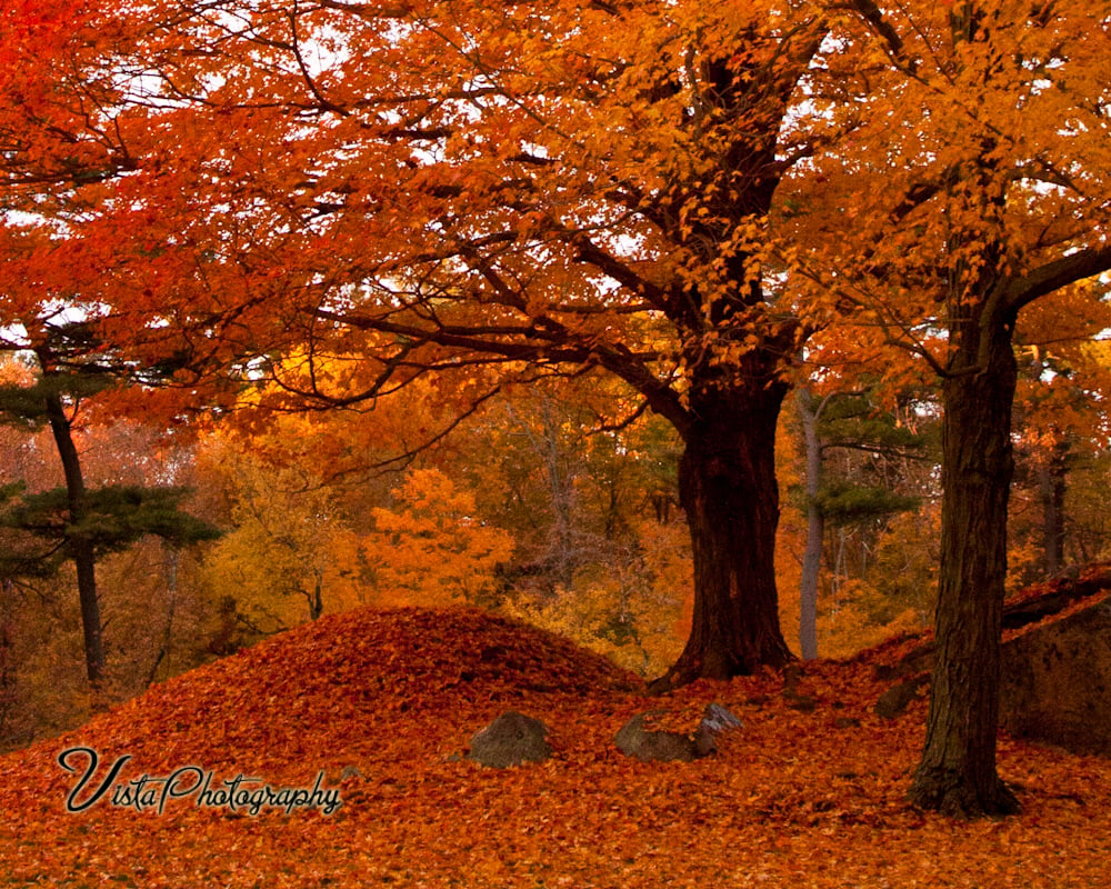 Orange Peak fall foliagejpg