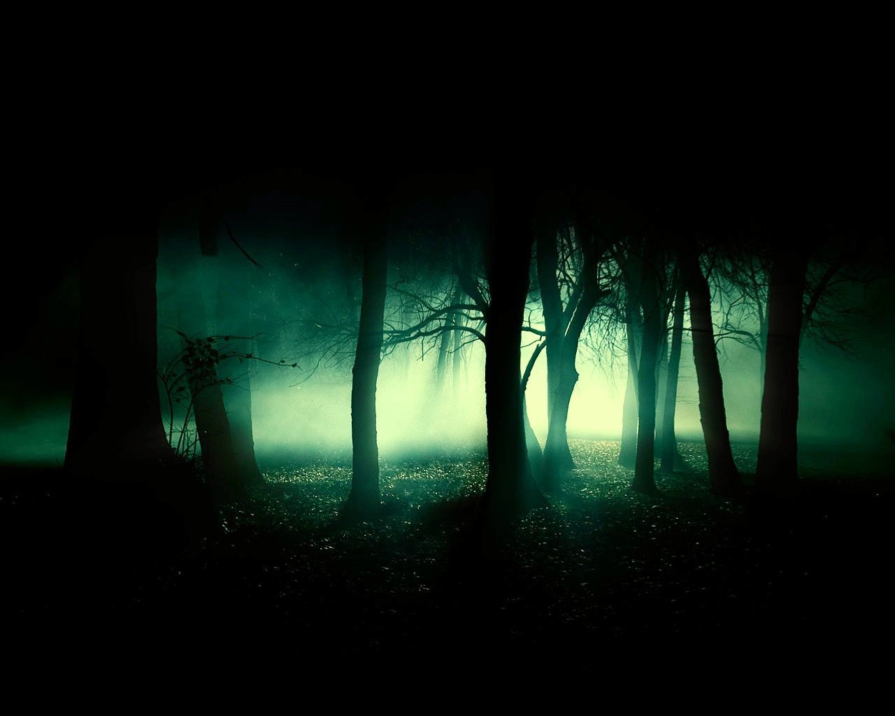 Forbidden Forest By Admin2gd1 Deviantart