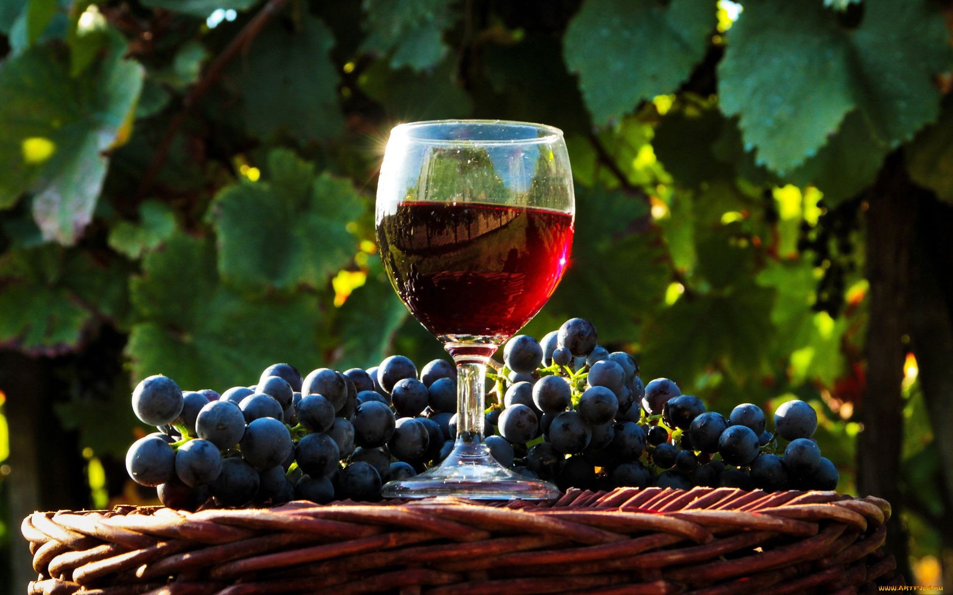 Wine HD Wallpaper