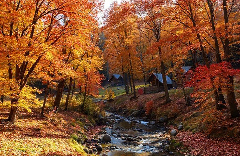 Autumn Wallpaper