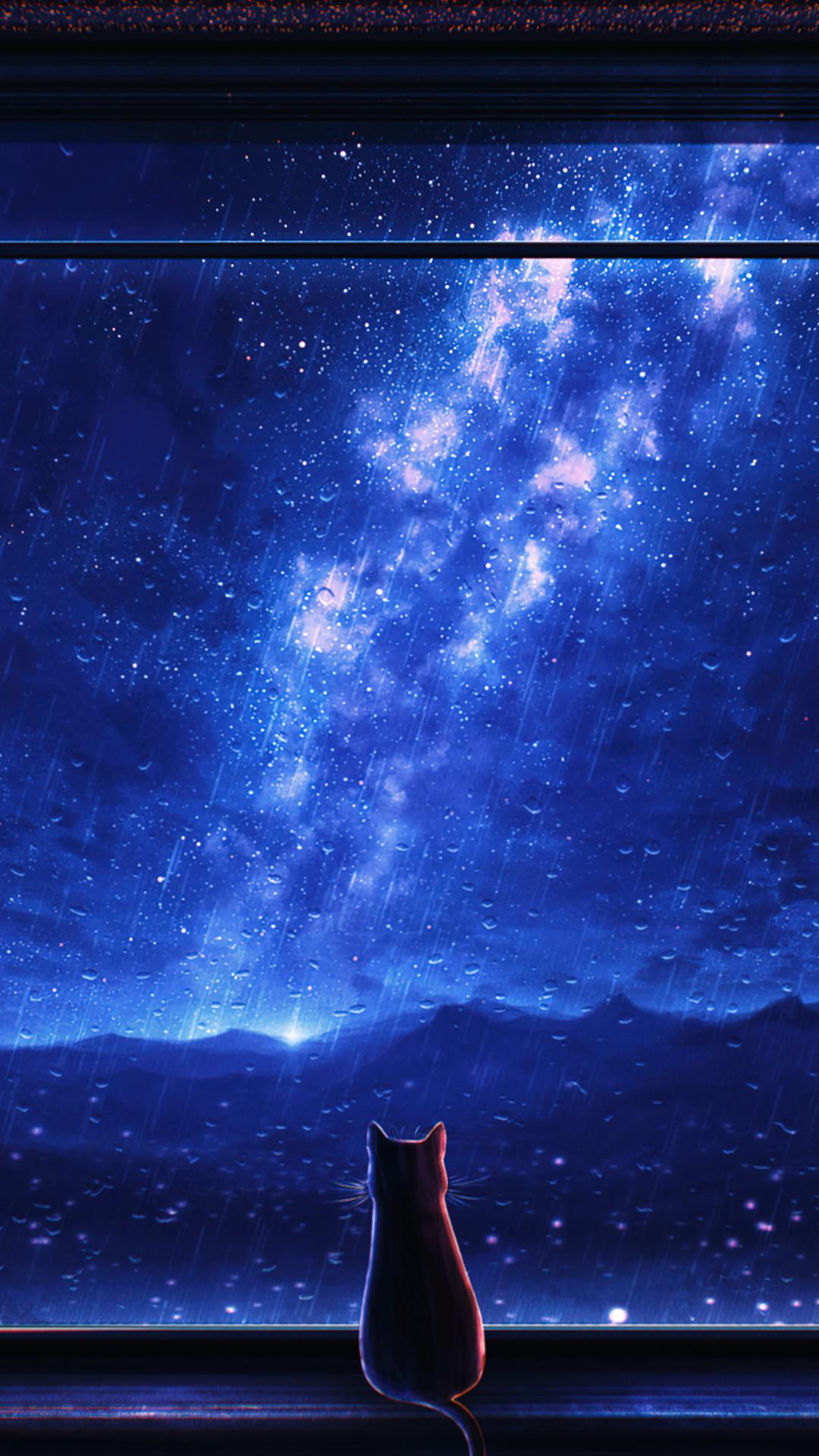Free download Stargazing Cat Starry Stars Night Sky Anime Art HD