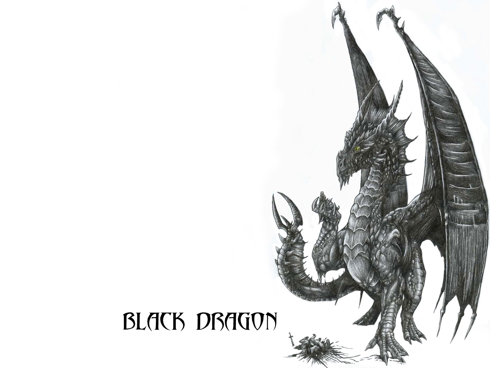 Wallpaper Black Dragon By Alphonsecapone