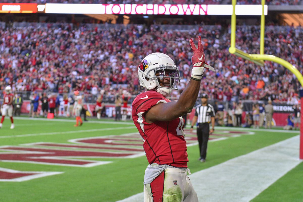 Bird Droppings Arizona Cardinals Finish Off Home Schedule With