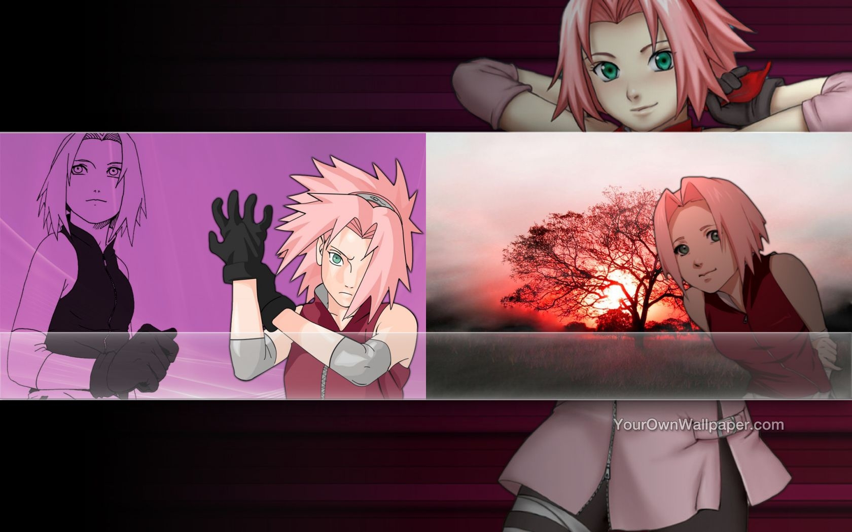Haruno Sakura Wallpaper By Weissdrum