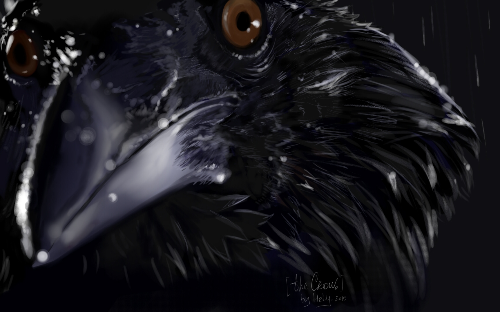 The Black Crow By H E L Y