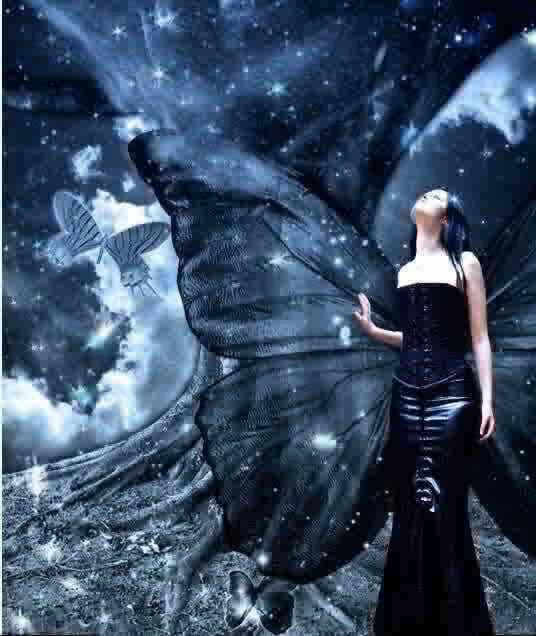 Dark Fairy Wallpaper Photo Image Picture A Beautiful
