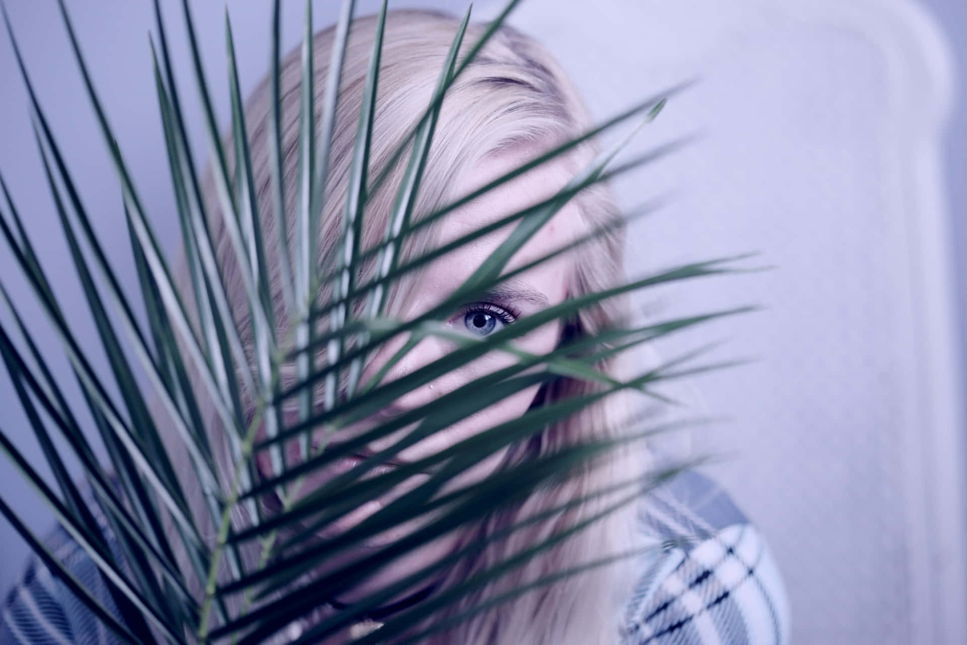 Timid Peek Behind Leaves Wallpaper