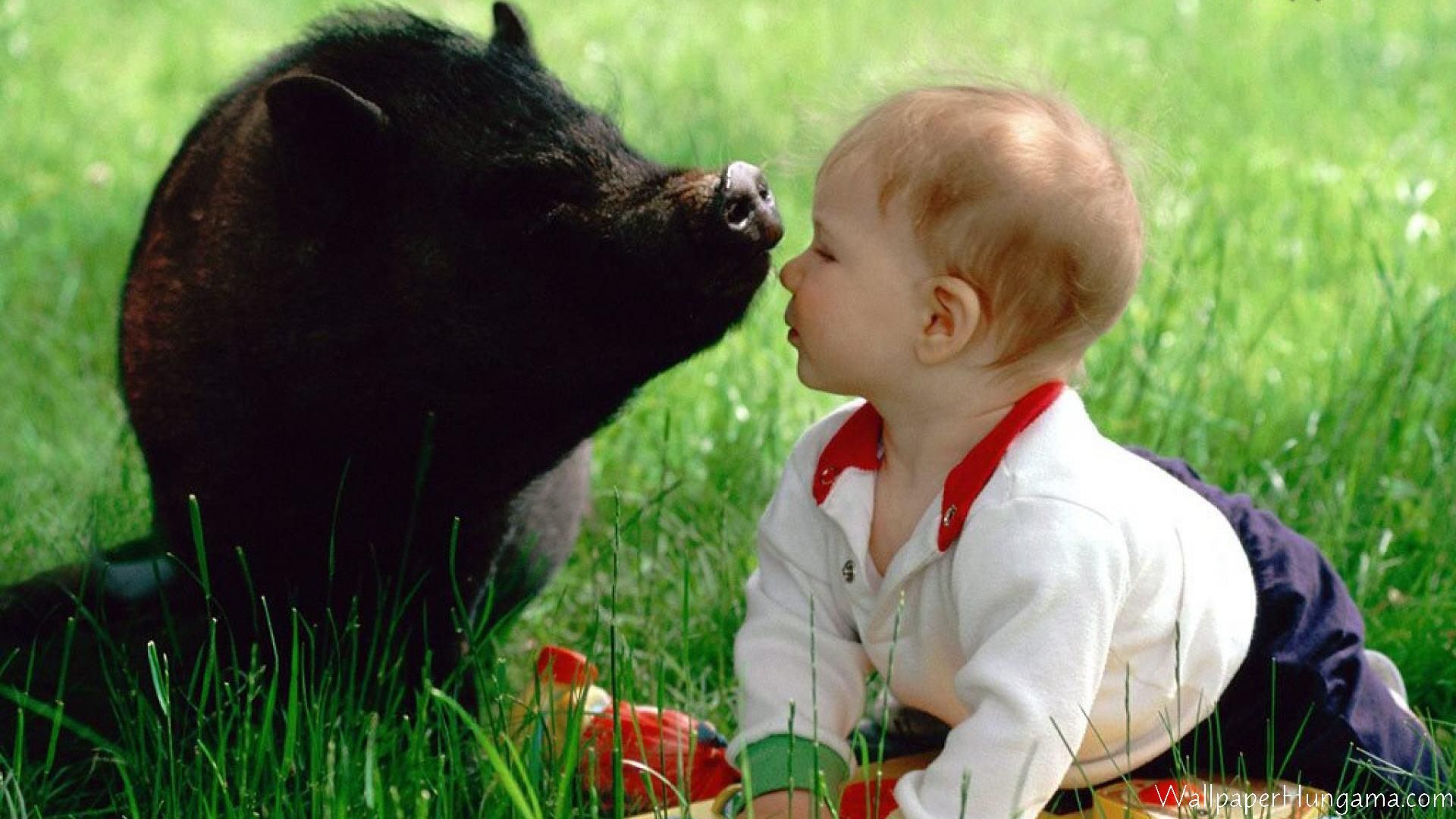 Pig And Baby Kiss Animals are my friends and I dont eat my