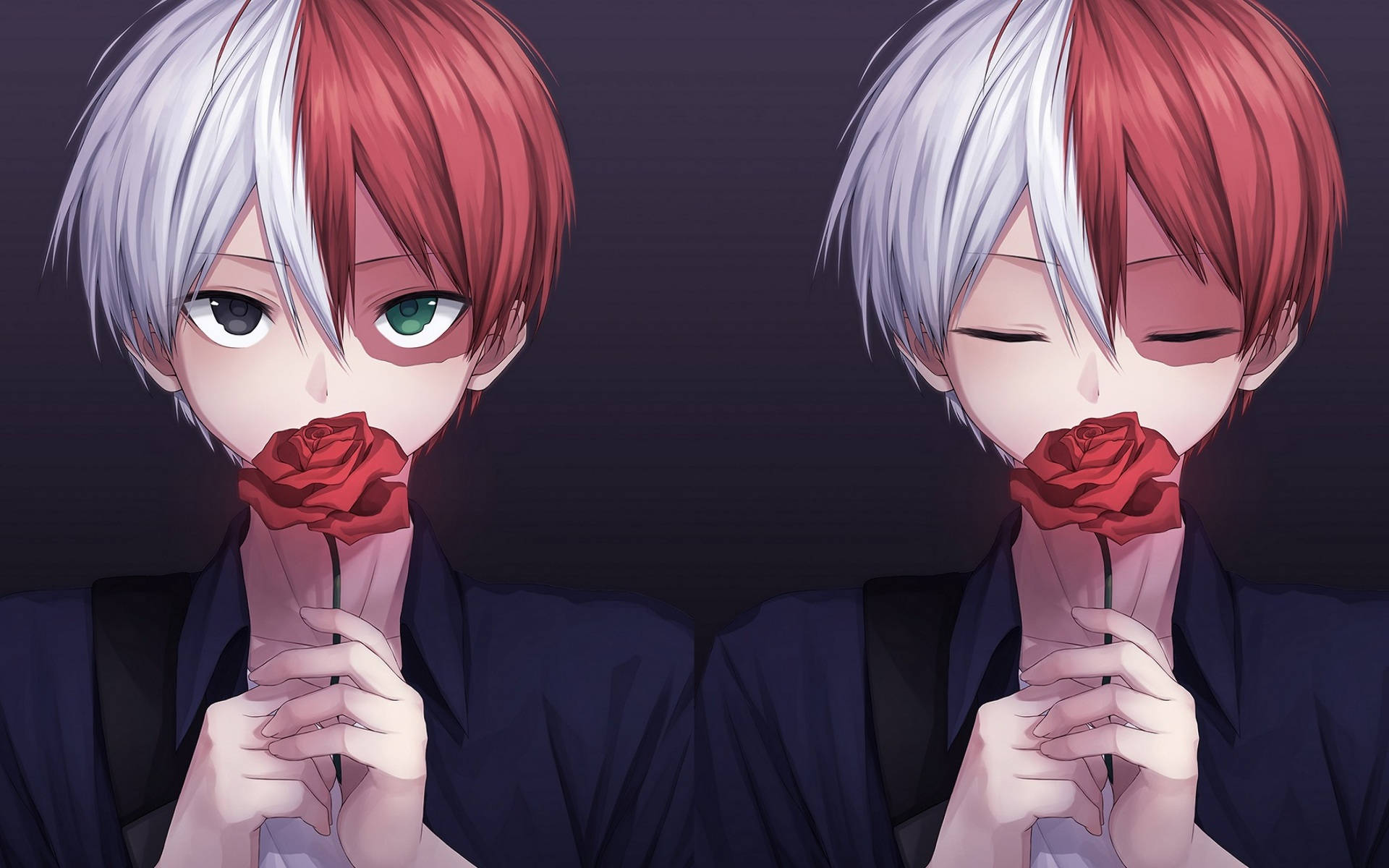 Top Cute Todoroki Wallpaper Full HD 4k To Use
