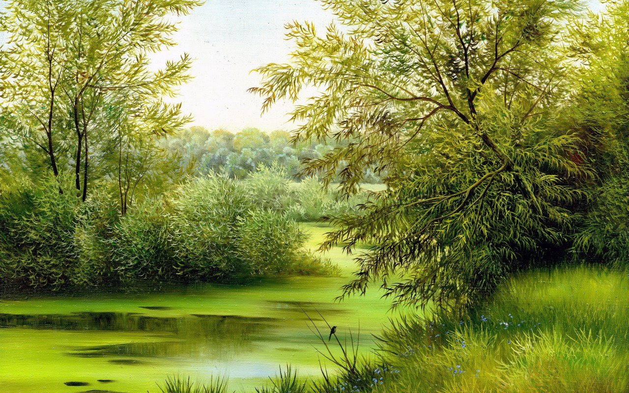 Pretty Green Trees Pond Grass Wallpaper