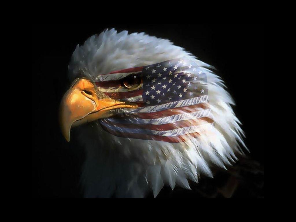 Eagle Pictures With American Flag On S Face