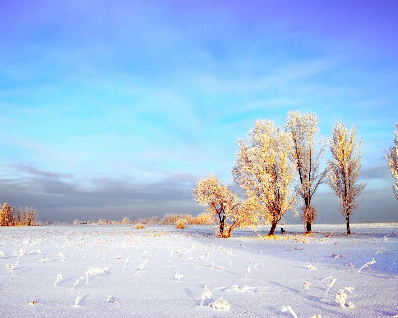 Snowy Winter Landscape Desktop Pc And Mac Wallpaper