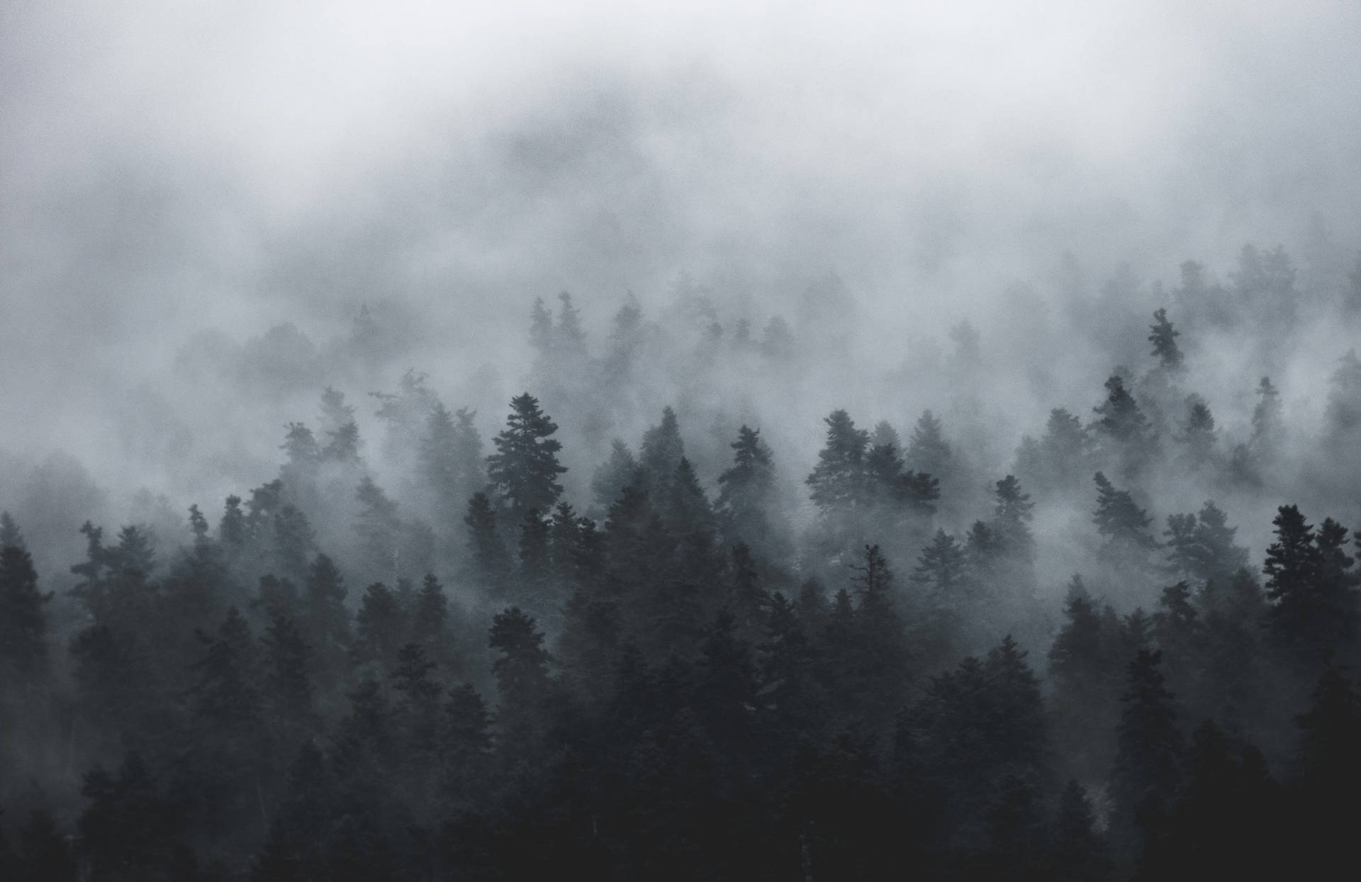 Volatile Picture Wallpaper