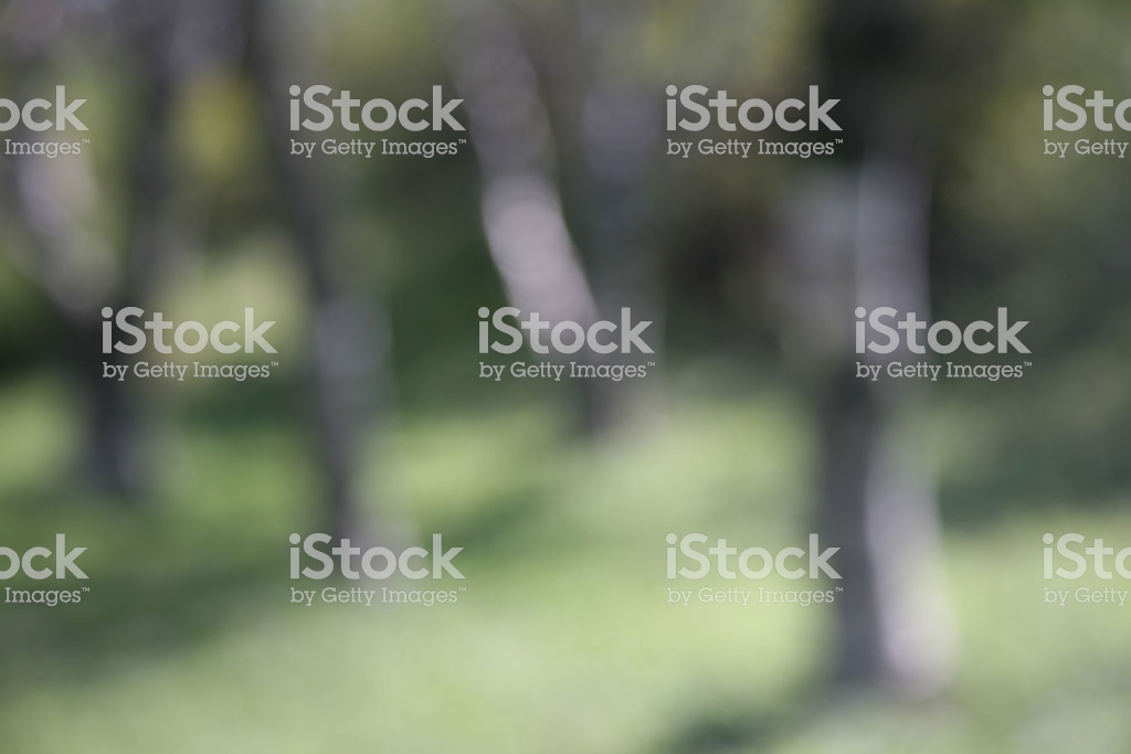Abstract Vague Background On A Spring Forest Theme Stock Photo