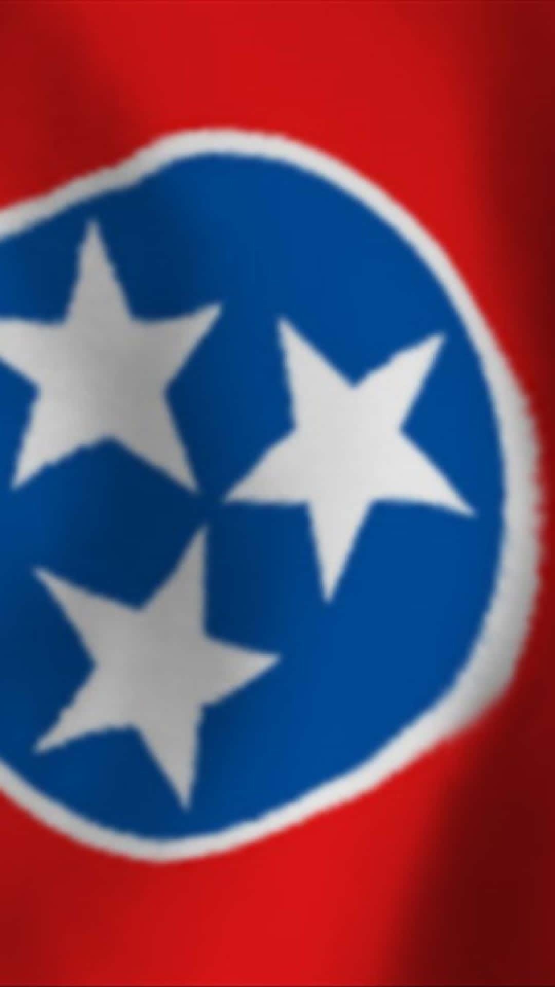 Image An American Flag Of The State Tennessee