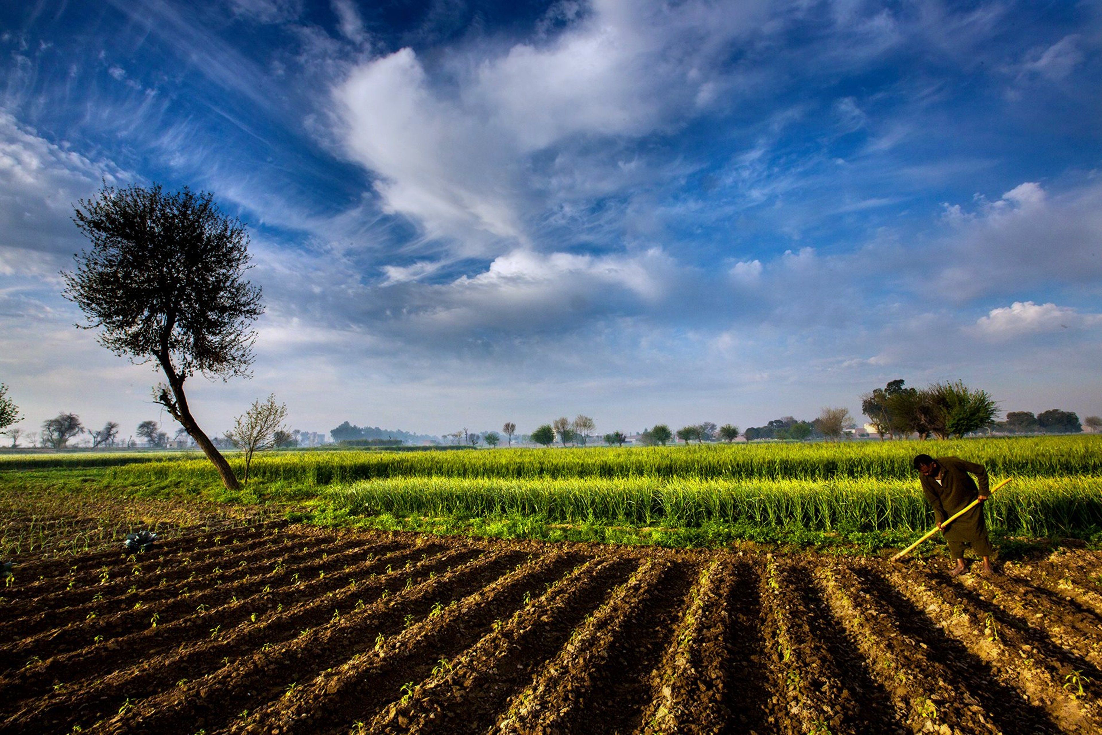 Farm HD Wallpaper High Resolution