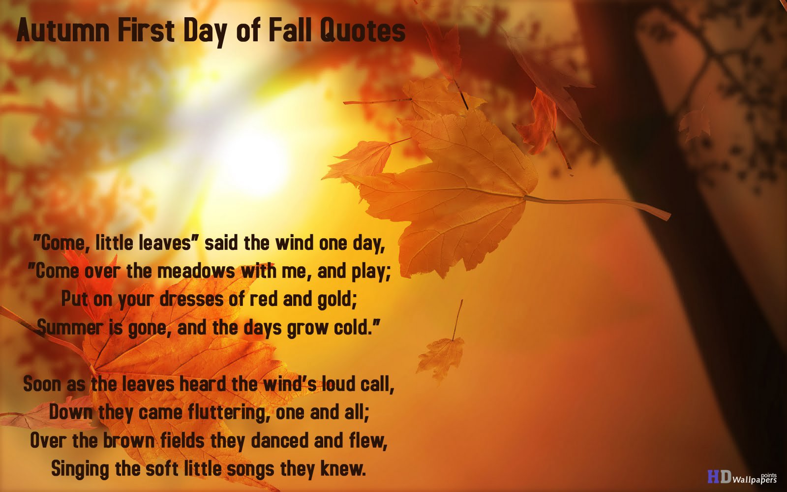 Autumn First Day Of Fall Quotes Wallpaper