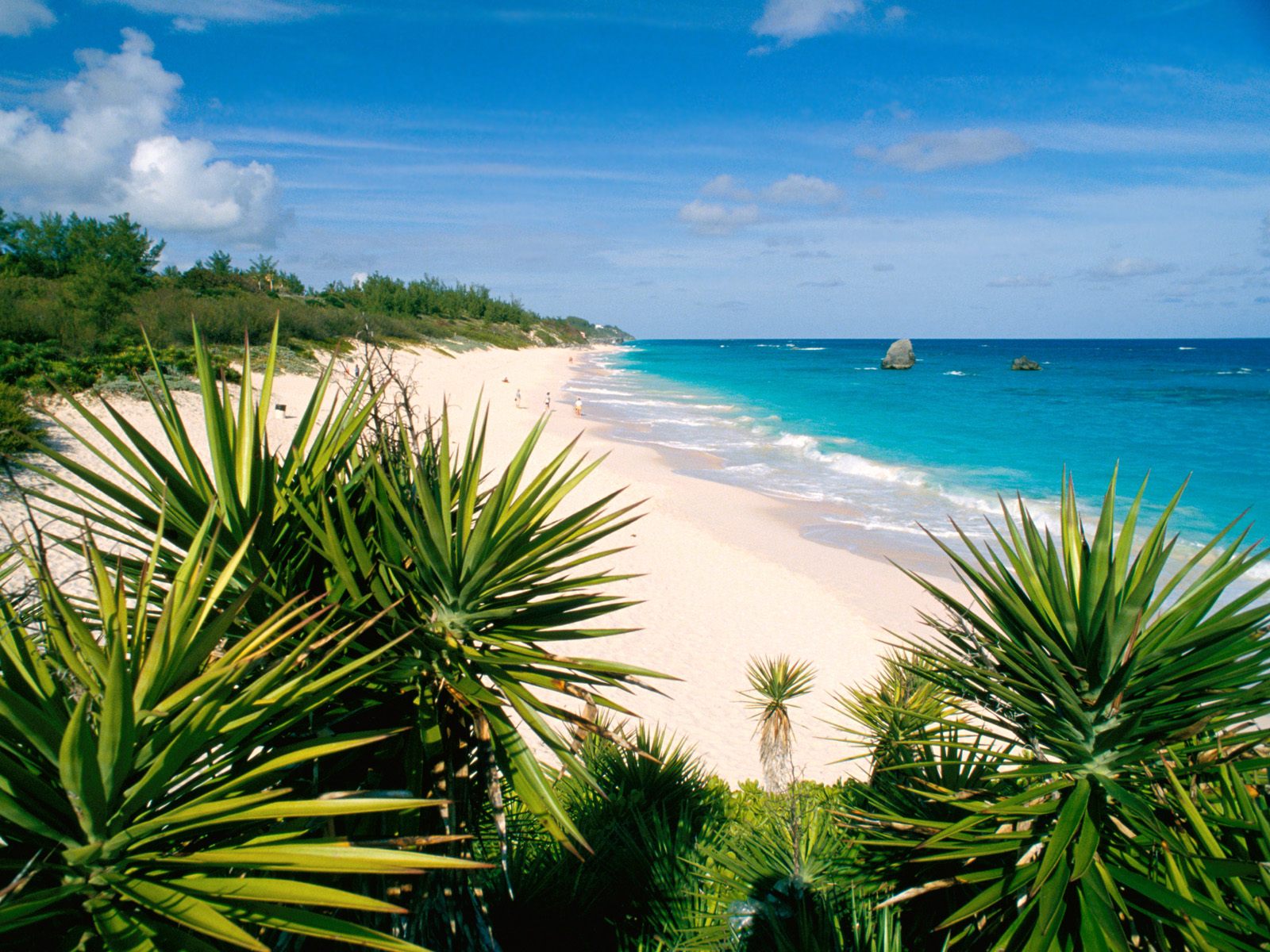 Beach Desktop Background And Wallpaper Warwick Long Bay Bermuda