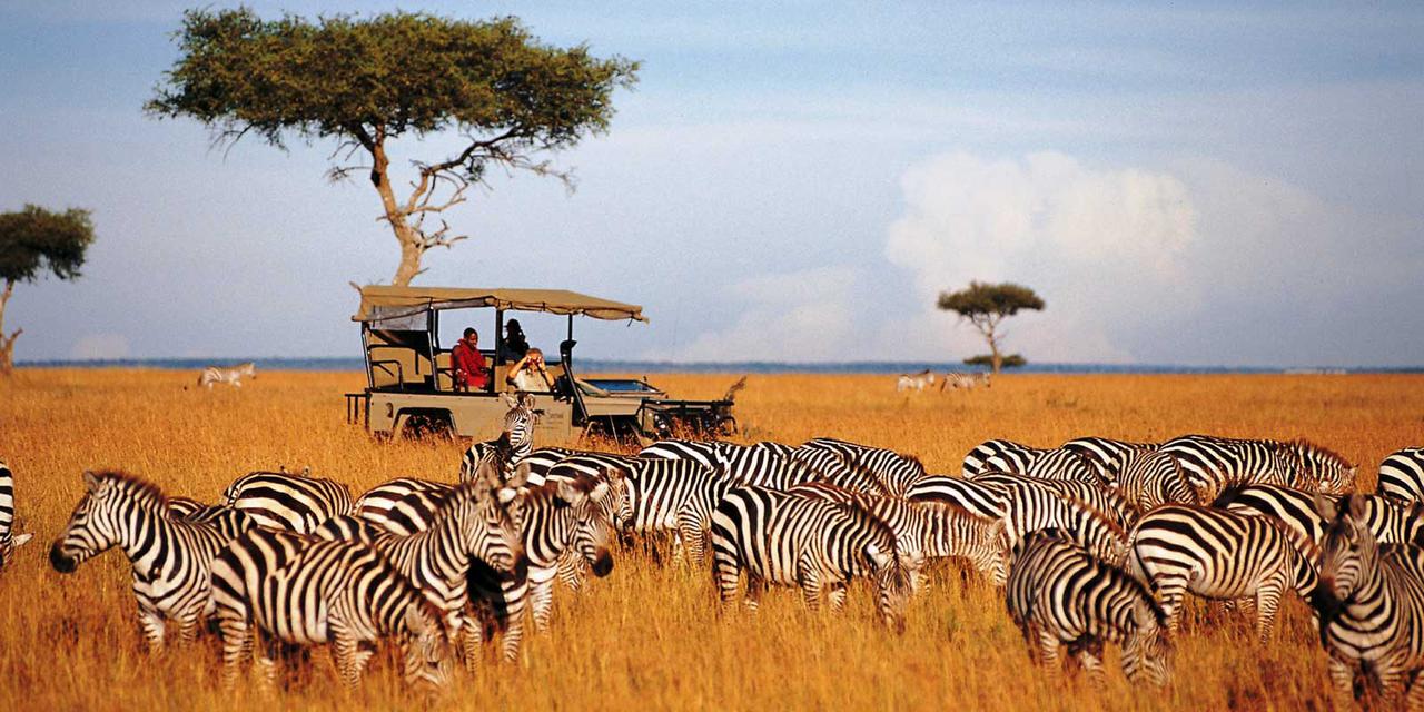 African Safari Landscape Amazing Wallpaper