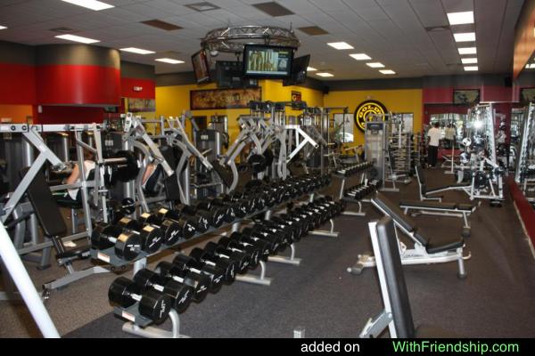 Golds Gym Wallpaper Pictures
