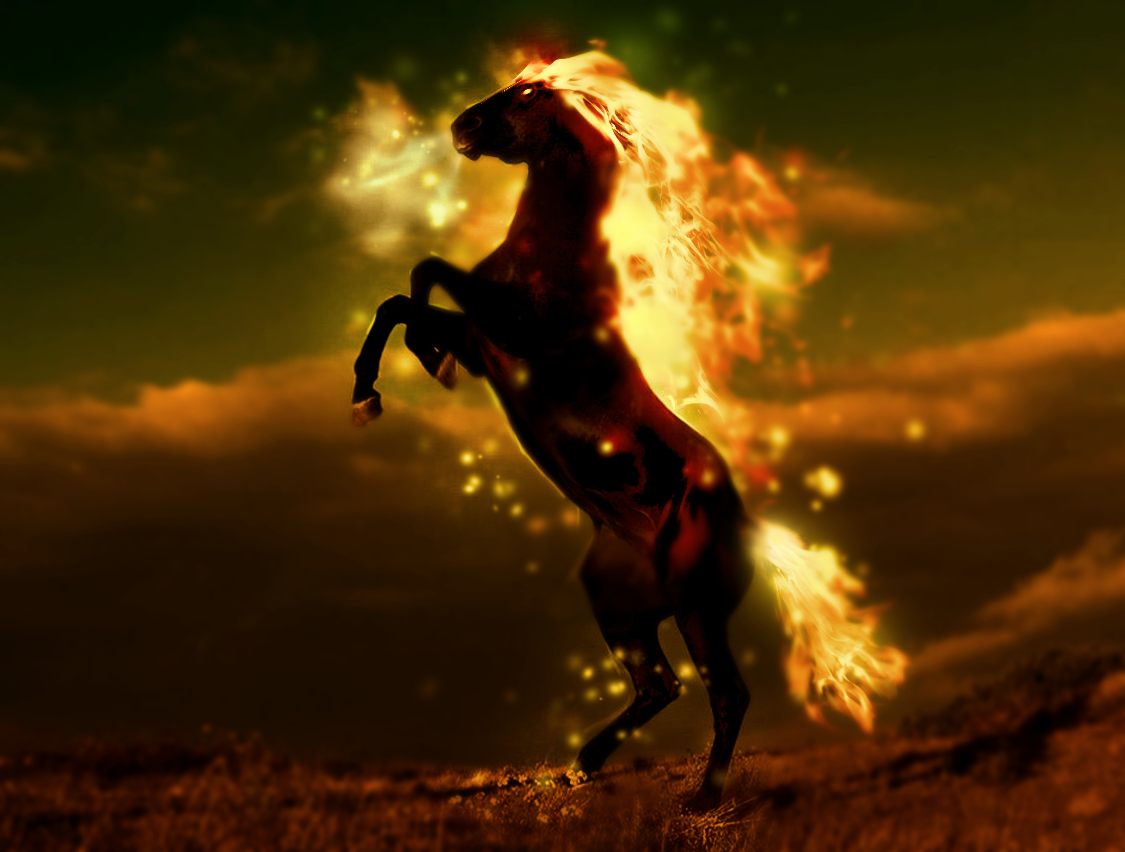 Wallpaper Fire Horse