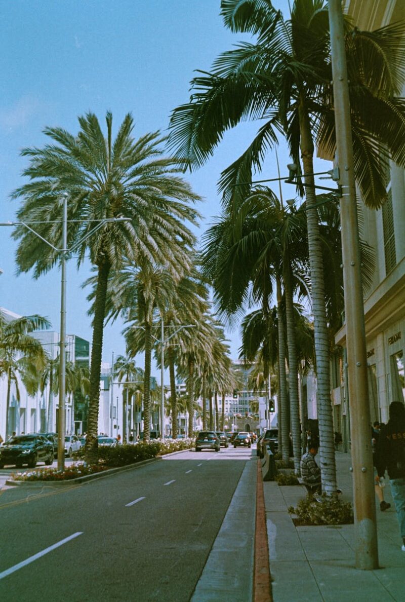 Los Angeles Wallpaper That Show The Beauty Of La