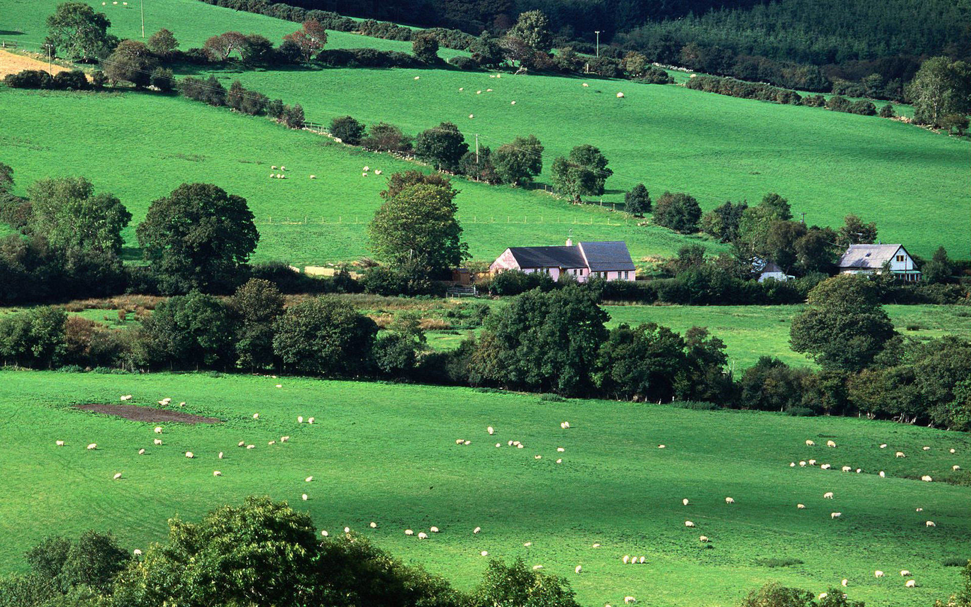 Ireland Countryside Wallpaper