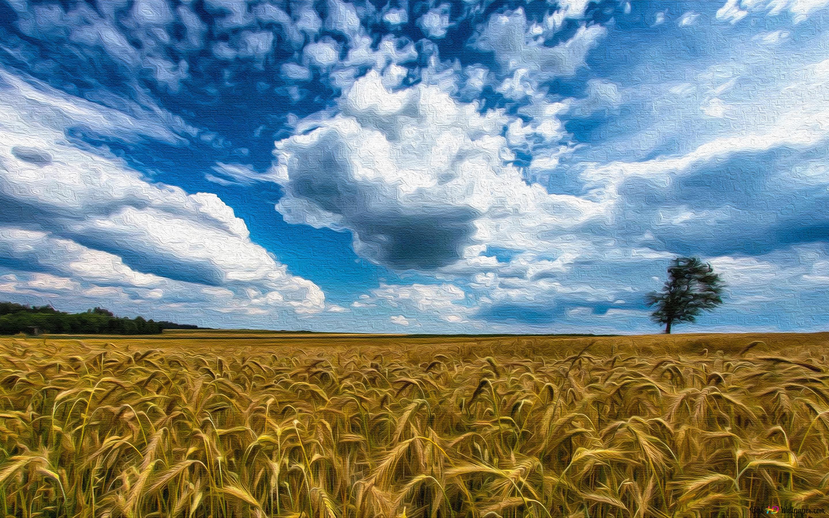 Wheat Field Oil On S Wallpaper