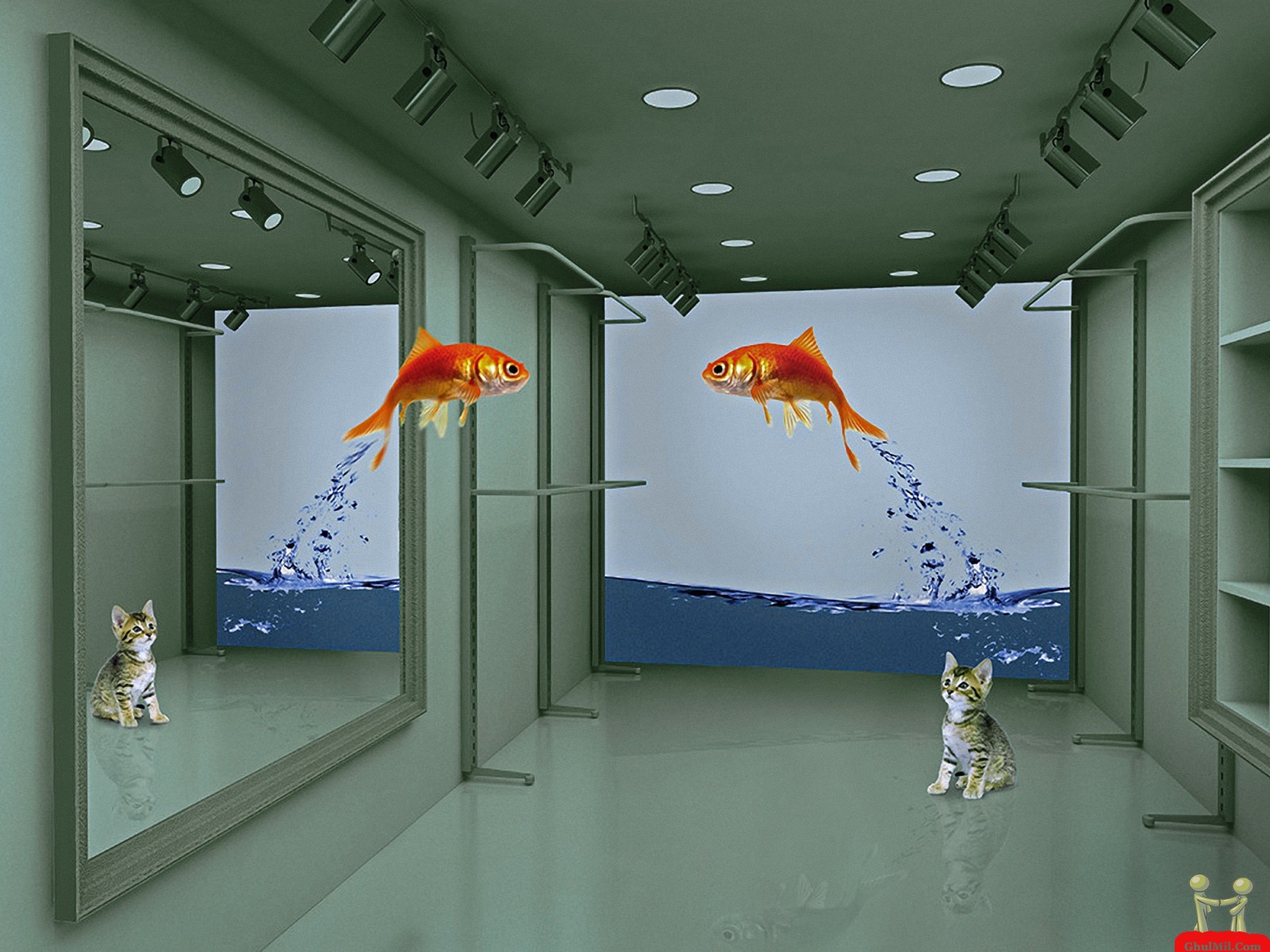 Moving Fish Wallpaper For Desktop New