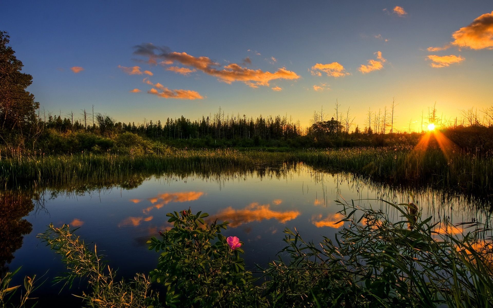 Relaxing Wallpaper For Desktop