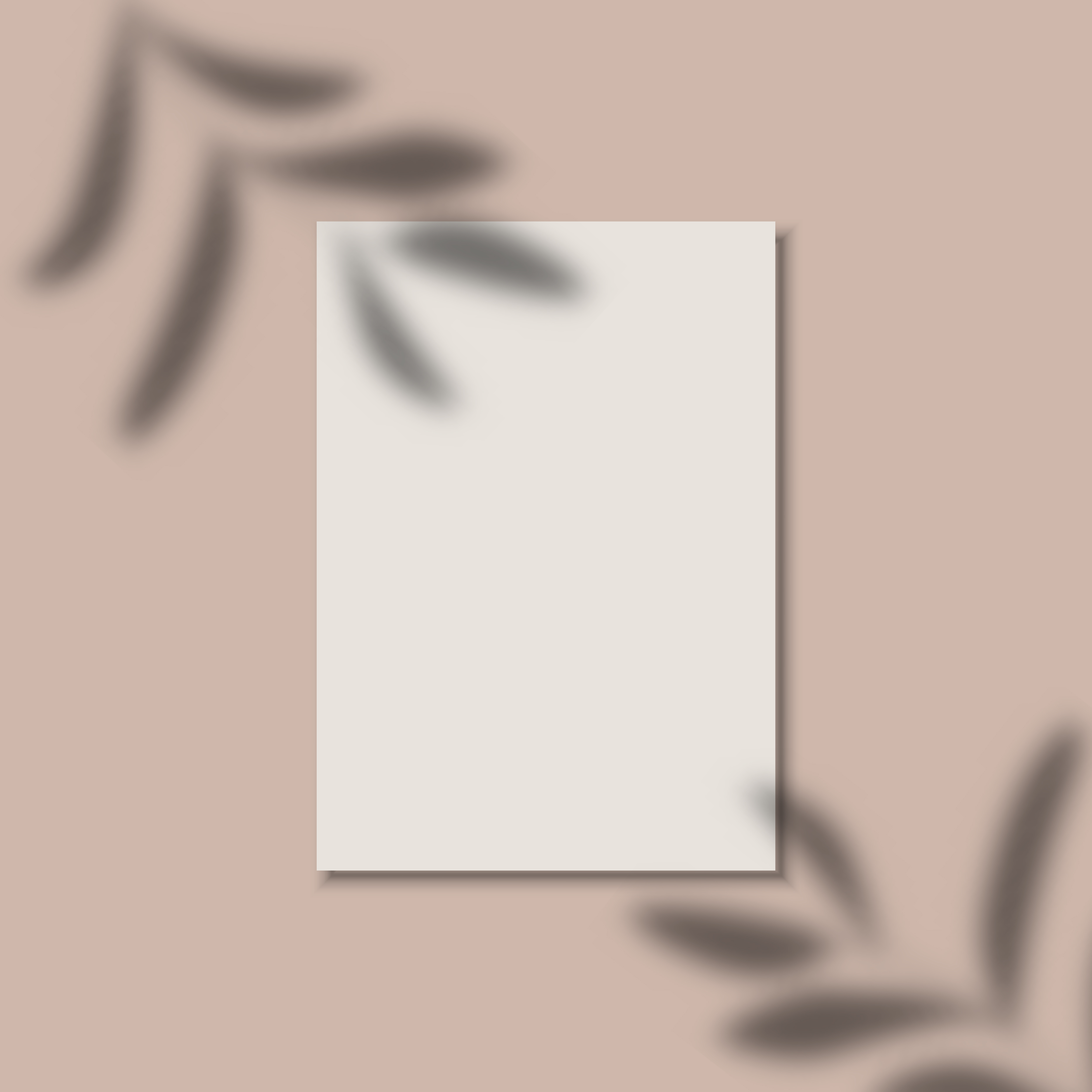 White Paper On Beige Background With Leaf Shadows