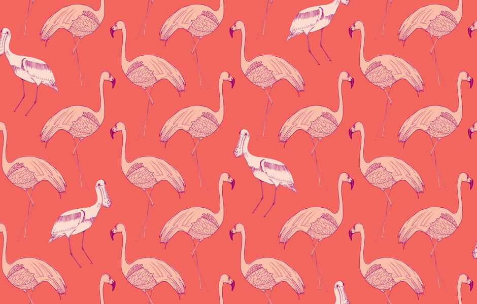 45 Free Flamingo Wallpaper On Wallpapersafari