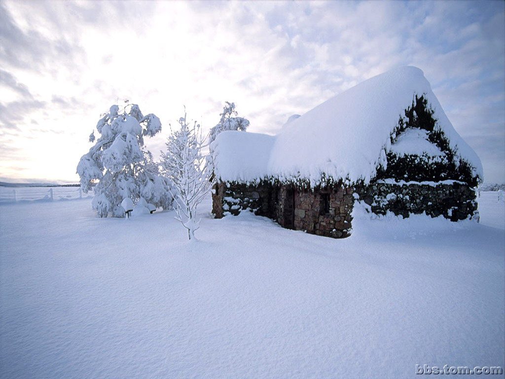 Snow Drift Cottage Wallpaper