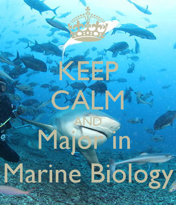 Marine Biology Wallpaper Major in marine biology