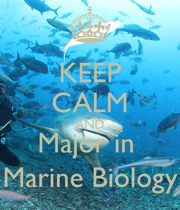 Marine Biology Wallpaper Major In