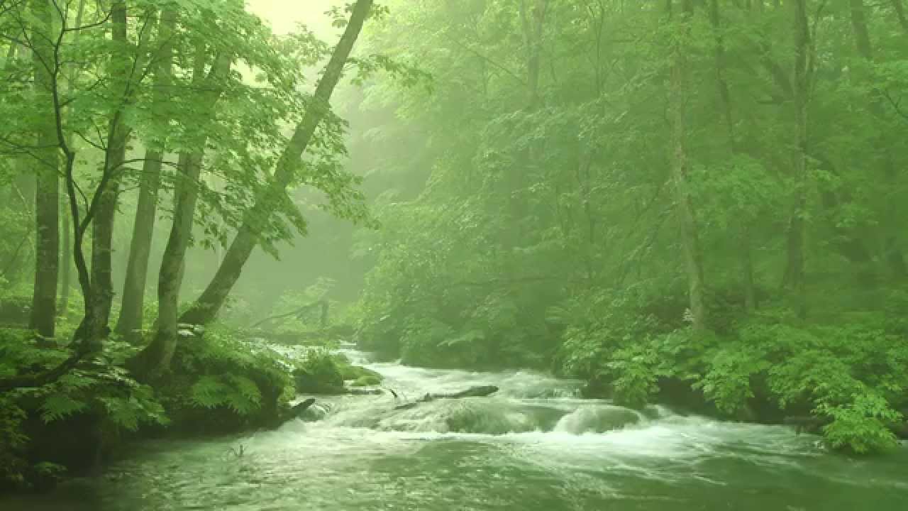 green relaxing background